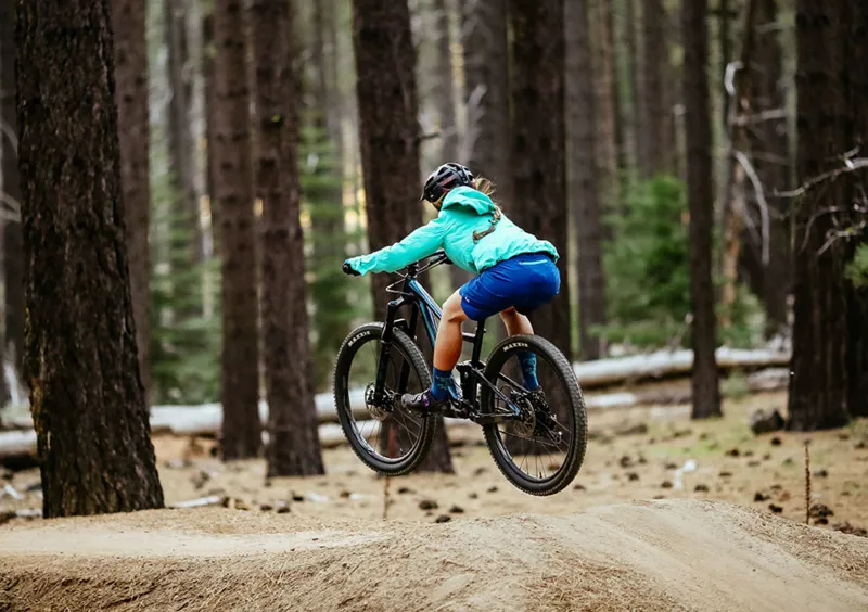 2019 Giant Liv Pique SX 1 Womens Mountain Bike - Gloss Ti/Gloss Black-2