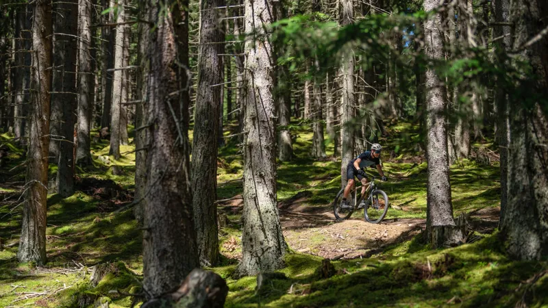 2024 Cube Reaction C:62 Pro Hardtail Mountain Bike - White/Blue/Red-1