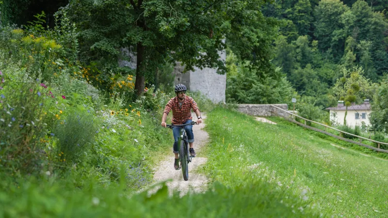 2024 Cube Reaction Hybrid Performance 625 Electric Mountain Bike - Grey-1