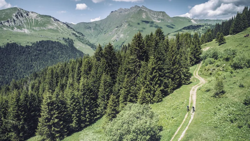 2024 Cube Reaction Hybrid Pro 625 Electric Mountain Bike - Flash White/Black-11