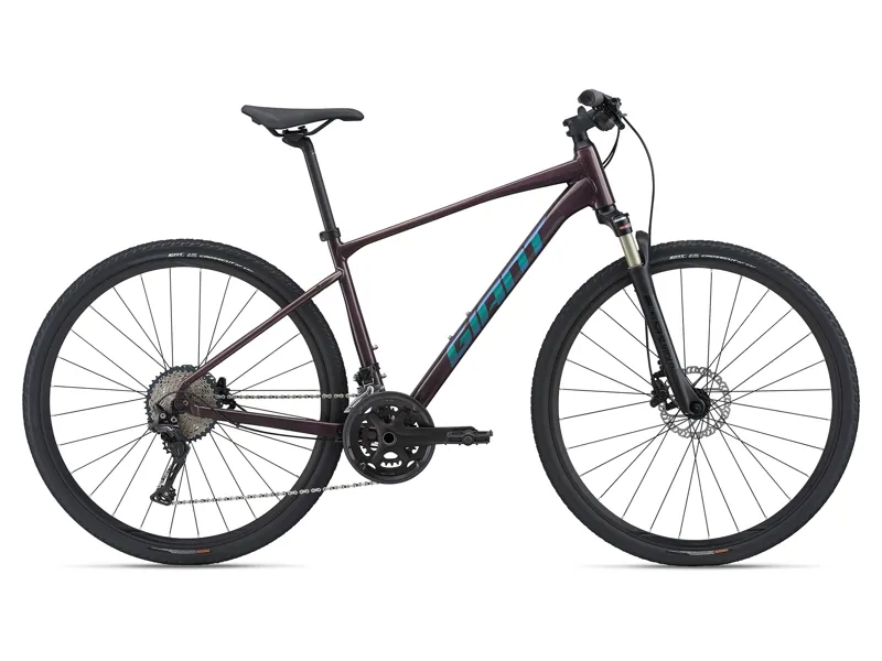 2021 Giant Roam 0 Disc Mens Gravel Hybrid Bike - Rosewood