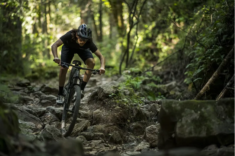 2022 S-Works Epic Full Suspension Mountain Bike - Satin/Gloss Carbon/Colour Run Silver - Green Chameleon-1