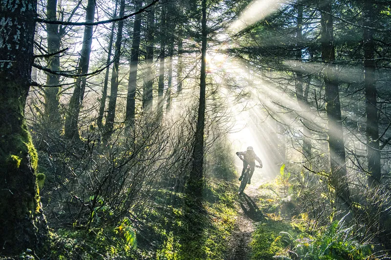 2022 Specialized Turbo Levo Alloy Electric Mountain Bike - Black/Silver-11