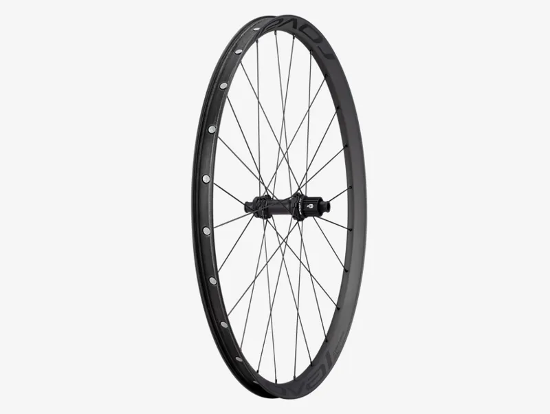 2021 Roval Control SL 29 Centre Lock Micro Spline Rear Wheel