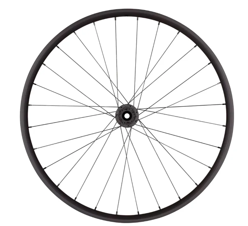 Roval Traverse Alloy 350 6B 29er Front Wheel - Black/Charcoal-1