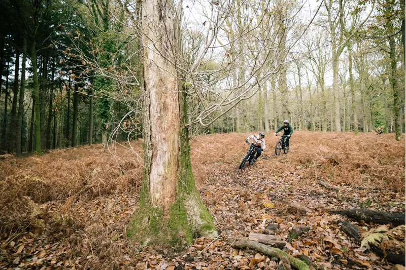 2022 Specialized Stumpjumper Expert Mountain Bike - White Mountains-1