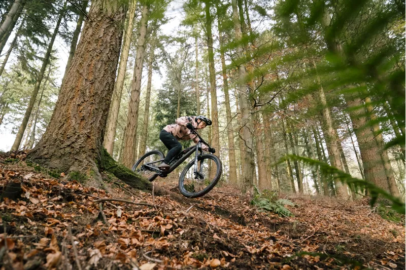 2022 S-Works Stumpjumper Mountain Bike - Brushed Black - Size S5-3