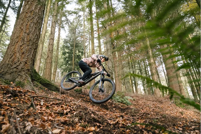 2022 Specialized Stumpjumper Expert Mountain Bike - White Mountains-6