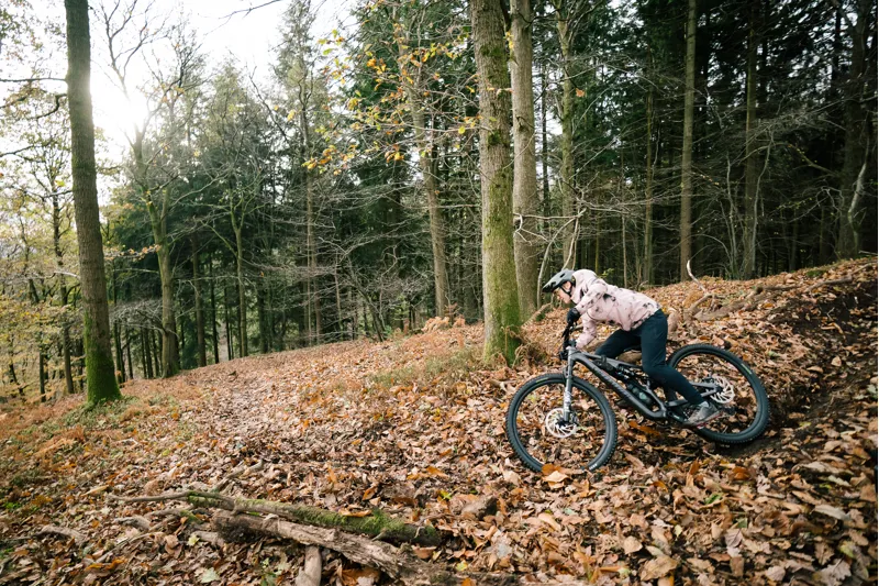 2022 Specialized Stumpjumper Expert Mountain Bike - White Mountains-2