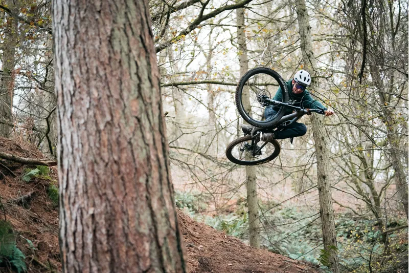 2022 Specialized Stumpjumper Expert Mountain Bike - White Mountains-10