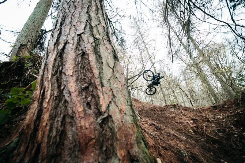 2022 Specialized Stumpjumper Expert Mountain Bike - White Mountains-11