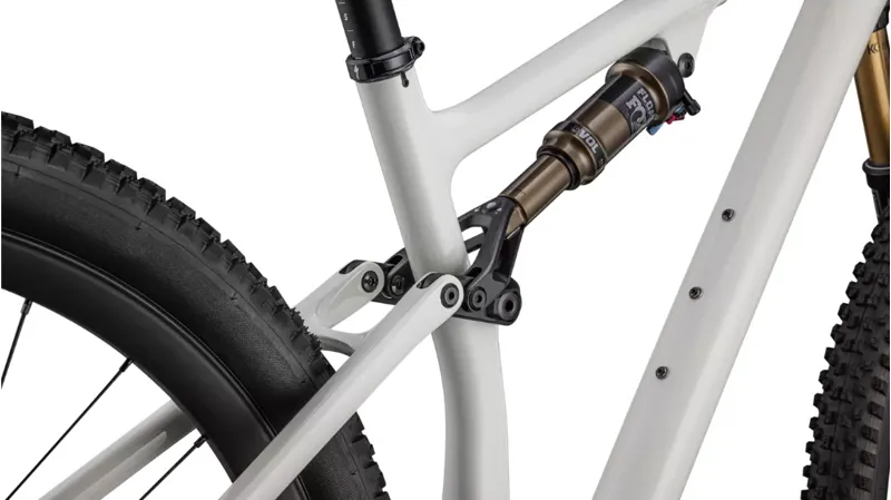 2023 Specialized Epic Evo Pro Mountain Bike - Gloss Birch/Bronze Pearl-3