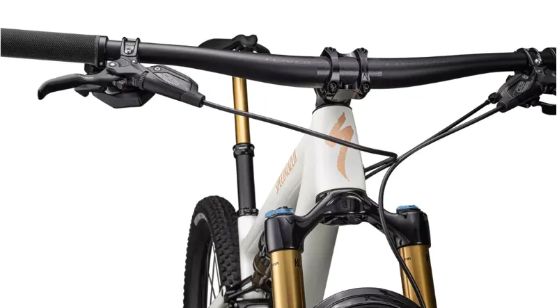 2023 Specialized Epic Evo Pro Mountain Bike - Gloss Birch/Bronze Pearl-5
