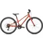 Specialized Jett 24 Kids Mountain Bike - Satin Redwood/White
