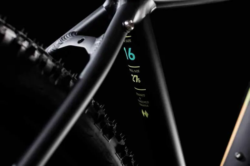 2018 Cube Access WS EAZ Womens Mountain Bike - Black/Mint-1