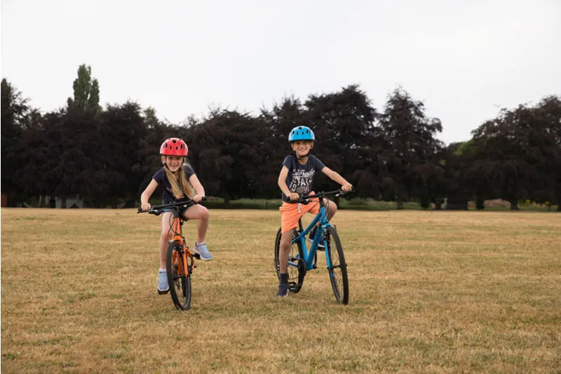 2019 Giant ARX 16 Kids Bike - Red-2