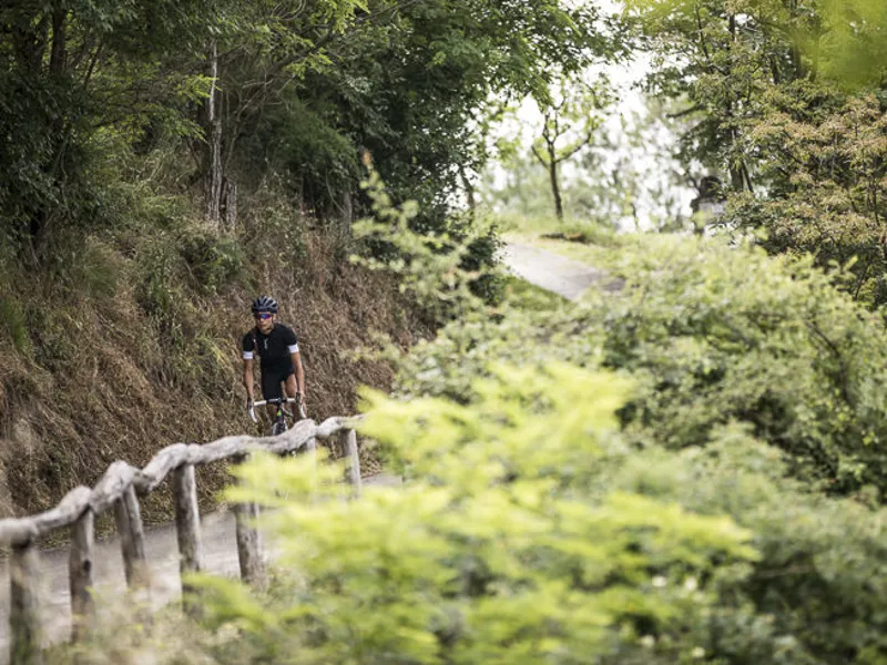 Castelli Anima 2 Womens Short Sleeve Jersey FZ - Salmon/Dark Blue-1