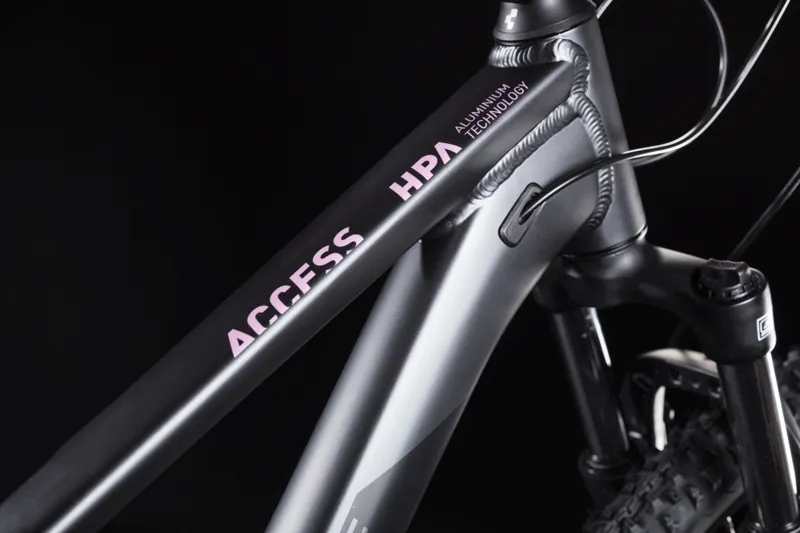 2019 Cube Access Ws Womens Mountain Bike - Iridium/Berry-3