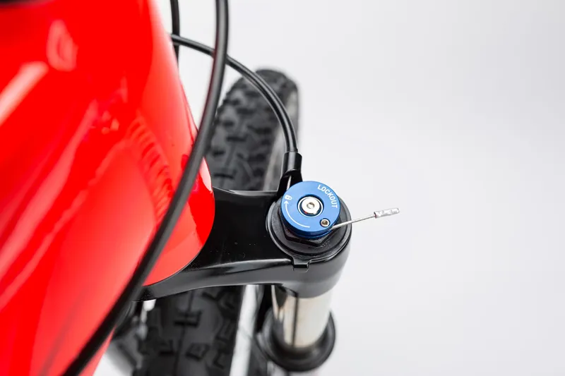 2017 Cube LTD Race Mountain Bike in Red-11