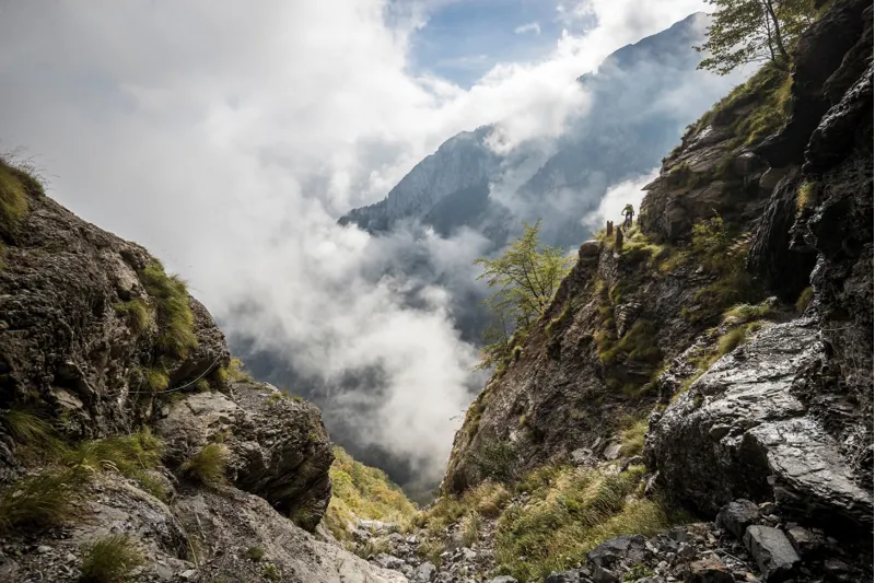 Evoc Explorer Pro 26l Performance BackPack - Heather Light Olive/Slate-1