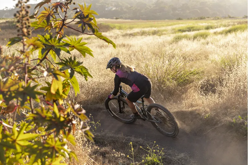 2020 Giant Liv Embolden 2 Womens Mountain Bike - Gloss Black/Yellow-5