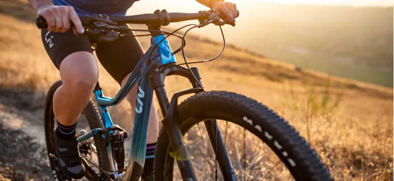 2020 Giant Liv Pique 29 2 Womens Mountain Bike - Jade Teal-1