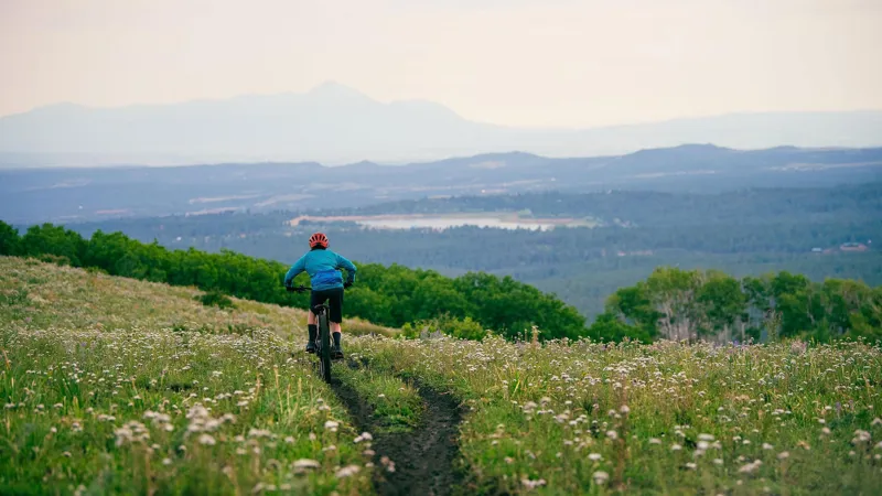 2026 Turbo Tero 5.0 EQ Step-Through Electric Hybrid Bike - Gloss Pistachio-3