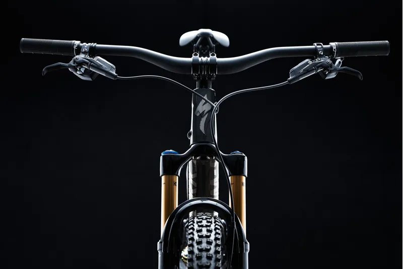 2022 S-Works Stumpjumper Evo Mountain Bike - Brushed Black - Size S3-4