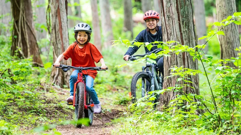 2026 Specialized Riprock 20 Kids Mountain Bike - Gloss Pine Green-5