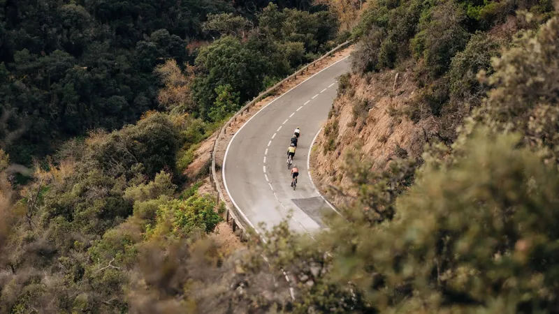 Specialized Foundation Mens Cycling Bib Shorts - Black-3