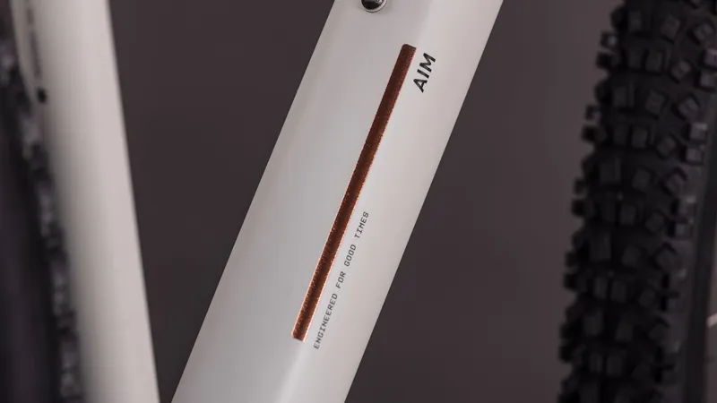 2026 Cube Aim Pro Hardtail Mountain Bike - Greige/Titan-6