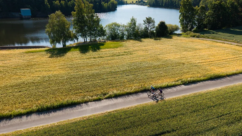 2026 Cube Attain SLX Road Bike - Smaragd Grey/Prism-1