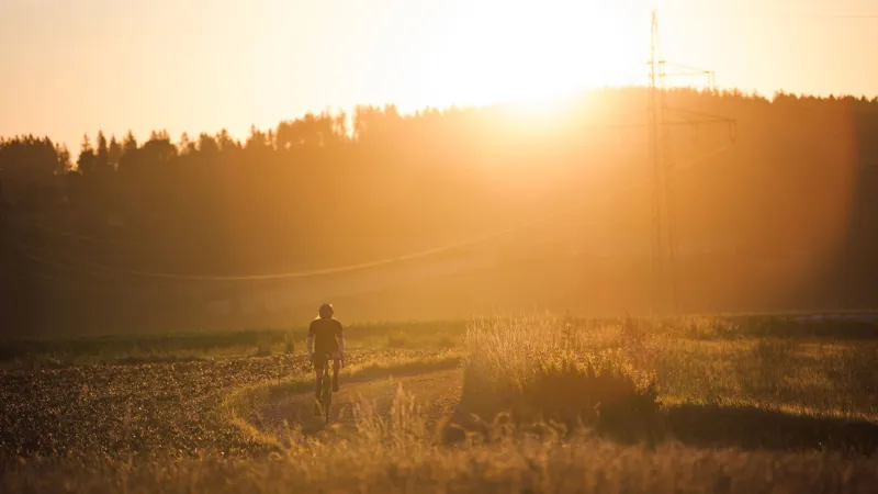 2026 Cube Nuroad C:62 SLX Gravel Bike - Reed Beige/Chrome-1