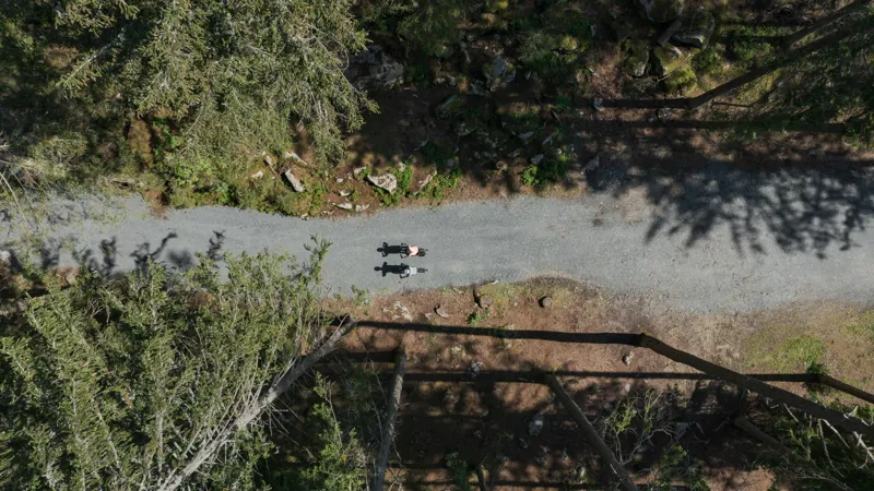 2025 Cube Reaction Hybrid Pro 800 Electric Mountain Bike - Metallic Grey-1