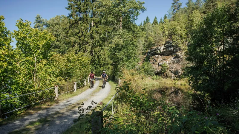 2026 Cube Reaction Hybrid Race 800 Electric Mountain Bike - Lizard/Black-1