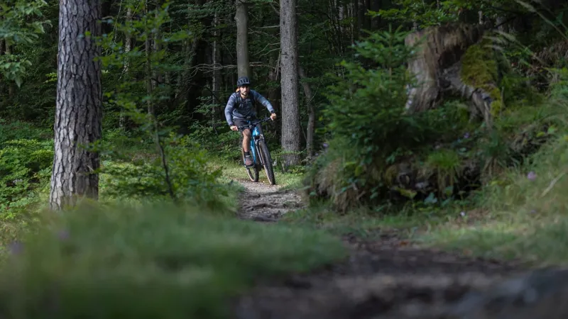 2025 Cube Reaction Hybrid SLT 800 Electric Mountain Bike - Solar - Size Large-1