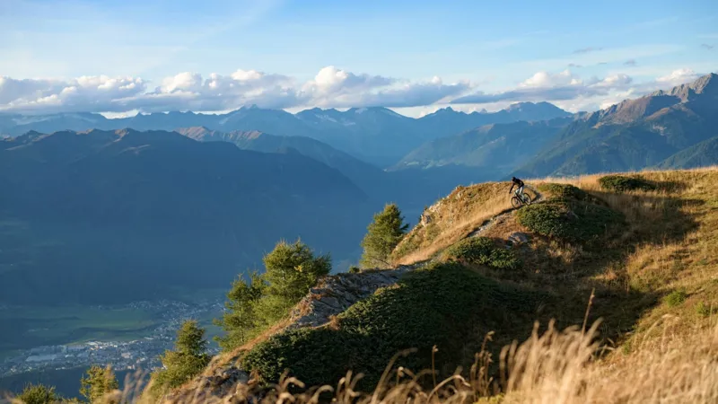 2025 Cube Stereo Hybrid One44 HPC TM 800 Electric Bike - Dusty Olive-1