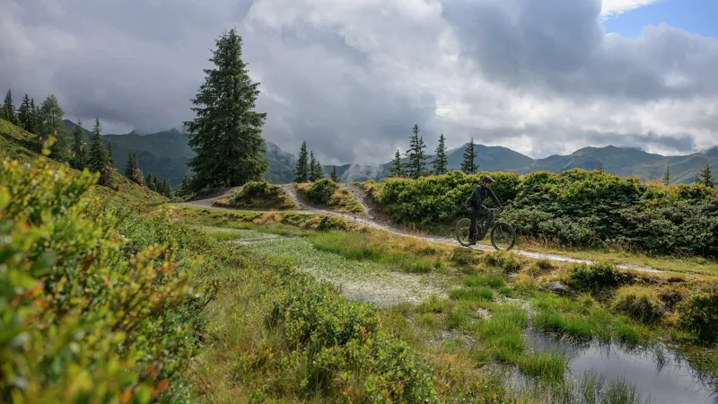 2026 Cube Stereo Hybrid One44 Pro 800 Electric Mountain Bike - Lizard-1