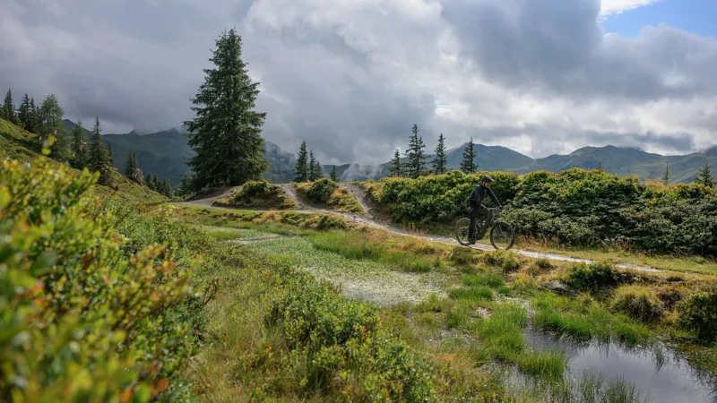 2026 Cube Stereo Hybrid One44 Pro 800 Electric Mountain Bike - Vulcan-1