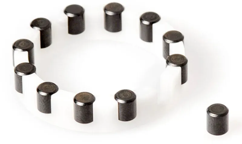 DT Swiss Needle Cage Complete for Rear Onyx Hub