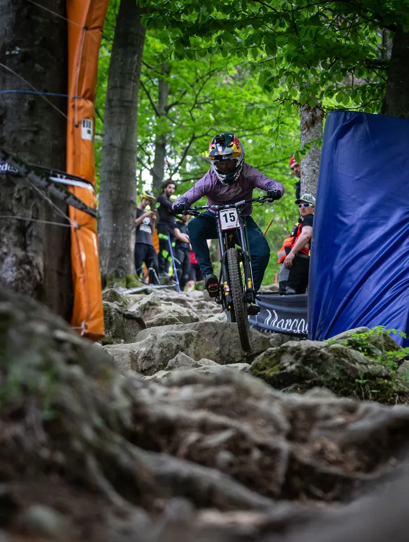 2024 Specialized Demo Race DH Mountain Bike Frameset - Satin Red Sky-2