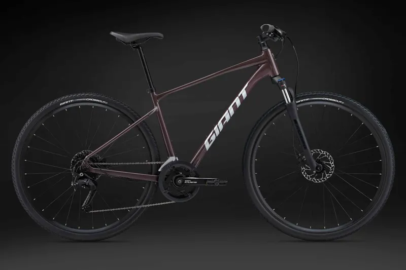2025 Giant Roam Disc 2 Mens Hybrid Bike - Gloss Charcoal Plum - Size Medium-1