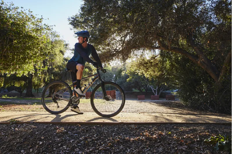 2025 Giant Roam Disc 2 Mens Hybrid Bike - Gloss Charcoal Plum - Size Medium-2