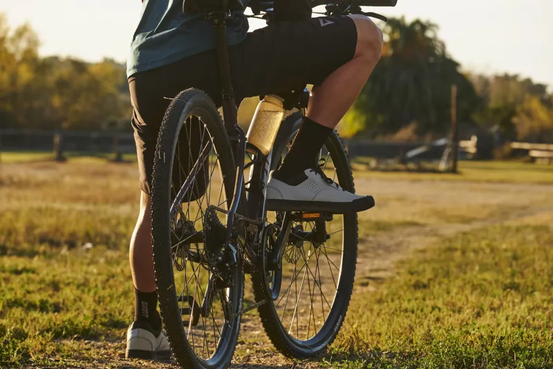 2025 Giant Roam Disc 2 Mens Hybrid Bike - Gloss Charcoal Plum - Size Medium-3