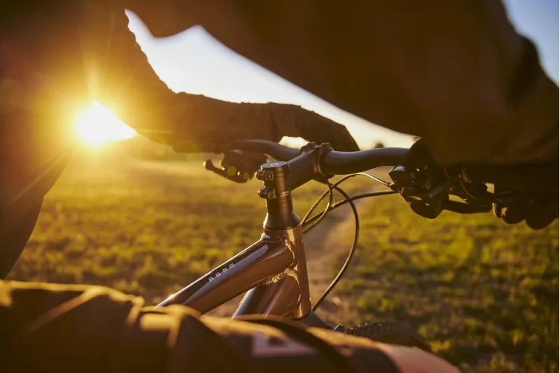 2025 Giant Roam Disc 2 Mens Hybrid Bike - Gloss Charcoal Plum - Size Medium-5