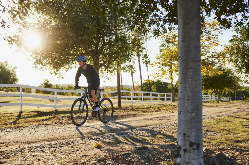 2025 Giant Roam Disc 2 Mens Hybrid Bike - Gloss Charcoal Plum - Size Medium-6