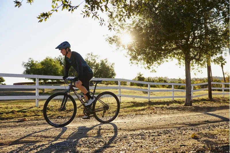 2025 Giant Roam Disc 2 Mens Hybrid Bike - Gloss Charcoal Plum - Size Medium-7