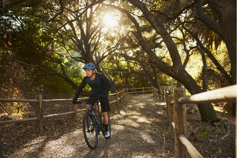 2025 Giant Roam Disc 2 Mens Hybrid Bike - Gloss Charcoal Plum - Size Medium-8