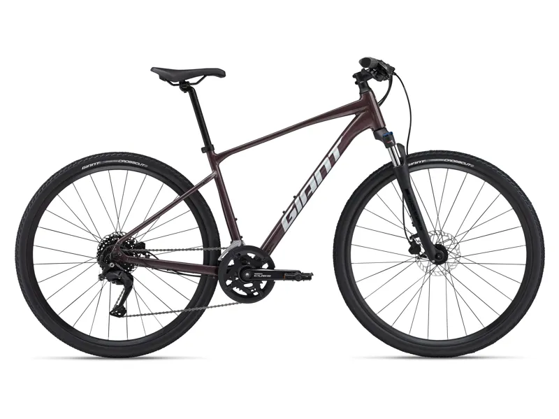 2025 Giant Roam Disc 2 Mens Hybrid Bike - Gloss Charcoal Plum - Size Medium