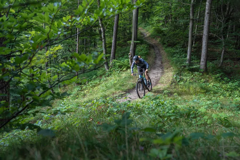2025 Cube Reaction Hybrid Performance 500 Electric Mountain Bike - Night-4